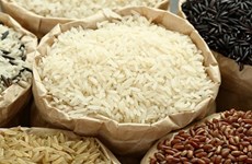 Gérer et développer le label du riz vietnamien
