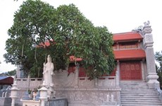 Cuong Xa - la pagode millénaire à Hai Duong