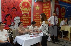 Plus de 63,3 millions d'électeurs vietnamiens ont voté pour les législatives