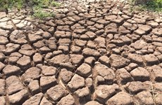 Le Japon aide le Vietnam à surmonter la sécheresse et la salinisation 