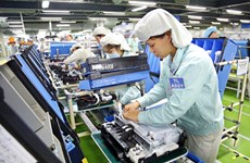 70% des entreprises allemandes satisfaites des résultats de leur activité au Vietnam