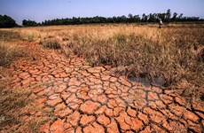 Changements climatiques : le delta du Mékong souhaite recevoir le soutien d’Israël
