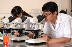 Vietnam et Laos resserrent leur coopération dans la recherche scientifique