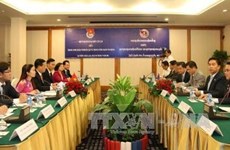 Les jeunes vietnamiens et laotiens renforcent leur coopération