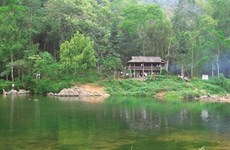 Dans le Nord, cure de nature en forêt de Bac Giang