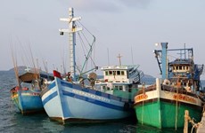 L’ambassade du Vietnam en Thaïlande protège des pêcheurs vietnamiens arrêtés