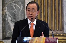 Mer Orientale : l'ONU et le CE appellent au respect du droit international