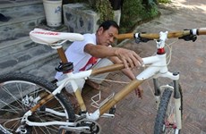 Le vélo en bambou : écolo, léger et robuste