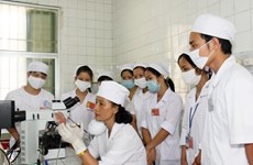 Vietnam et Australie échangent des expériences dans la santé 