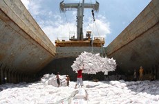 De belles opportunités pour les exportations de riz en Algérie