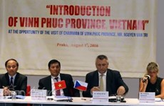 Vinh Phuc cherche des partenariats avec la République tchèque