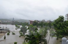 Exercice de simulation de catastrophe naturelle à Hanoi