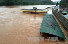 La tempête Dianmu a fait 7 morts, 2 disparus et 8 blessés 