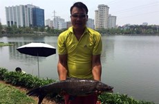 La pêche urbaine enflamme Hanoï