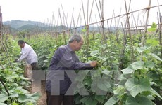 Développer durablement l’agriculture dans le processus d’intégration à l’ASEAN