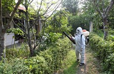 Le Vietnam se prépare à combattre le virus Zika