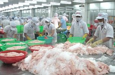 Tiên Giang : exportations en hausse de 14,6%