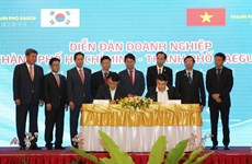 Forum d'affaires Ho Chi Minh-Ville-Daegu (R. de Corée)
