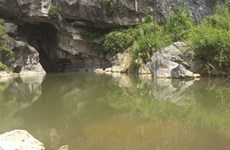 Une grotte encore à l’abri des regards à Quang Ninh