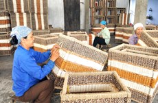 Hanoï investira plus de 32.700 mds de dôngs pour l'édification de la Nouvelle ruralité