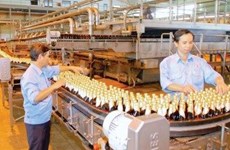 Deux sociétés japonaises lorgnent le marché vietnamien de la bière
