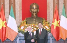 Belles perspectives pour les relations Vietnam-Irlande