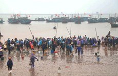 Le marché aux poissons de Giao Hai