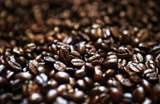 Bond des exportations nationales de café en Algérie depuis janvier