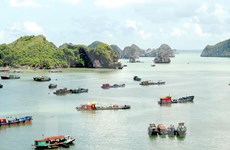 Hai Phong compte devenir un centre touristique de niveau national voire international
