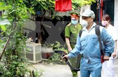 De nouveaux cas de Zika à Hô Chi Minh-Ville et dans la province de Ba Ria-Vung Tau