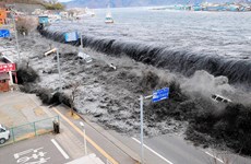 Le Vietnam présentera à une conférence internationale sur les tsunamis au Japon