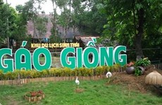 Province de Dông Thap: Gao Giông, haut lieu du tourisme vert
