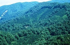 Objectif d'un taux de couverture forestière de 47,25% en 2017
