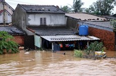 Le PM décide d’octroyer 2.000 tonnes de riz aux sinistrés de Binh Dinh