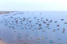 Vietnam-Indonésie : coopération dans les affaires maritimes et la pêche 