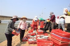 Les pêcheurs de Hà Tinh retrouvent une vie normale