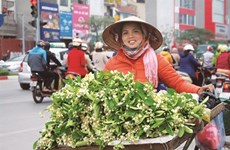 Vendeur de rue, la beauté culturelle de Hanoï