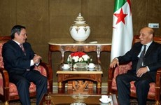 Renforcer la coopération multiforme Vietnam - Algérie