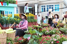 À Cân Tho, les rues de fleurs et de lumières attendent la foule