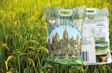 Près de 160 millions de dollars pour développer le secteur agricole au Cambodge