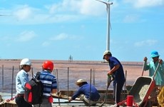 Installation de 50 éoliennes à Cà Mau
