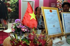 Des fruits du dragon du Vietnam présentés au Fruit Logistica 2017 à Berlin