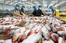 Pangasius : les exportations pourraient augmenter de 20%