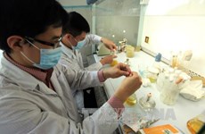 Le Vietnam partage des expériences en matière de médecine nucléaire 