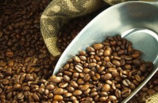 Le Brésil importe du café vietnamien pour la première fois de son histoire