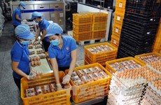 Phu Tho : inauguration d'une usine de production d’œufs de poule bio
