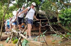 Tiên Giang se concentre sur le tourisme