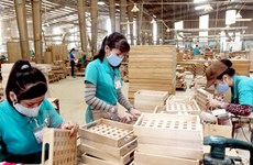 Le bois vietnamien est apprécié sur de nombreux marchés étrangers