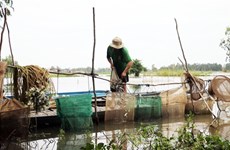 Delta du Mékong: les inondations devraient arriver plus tôt cette année