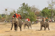 L’éléphant dans la tradition vietnamienne